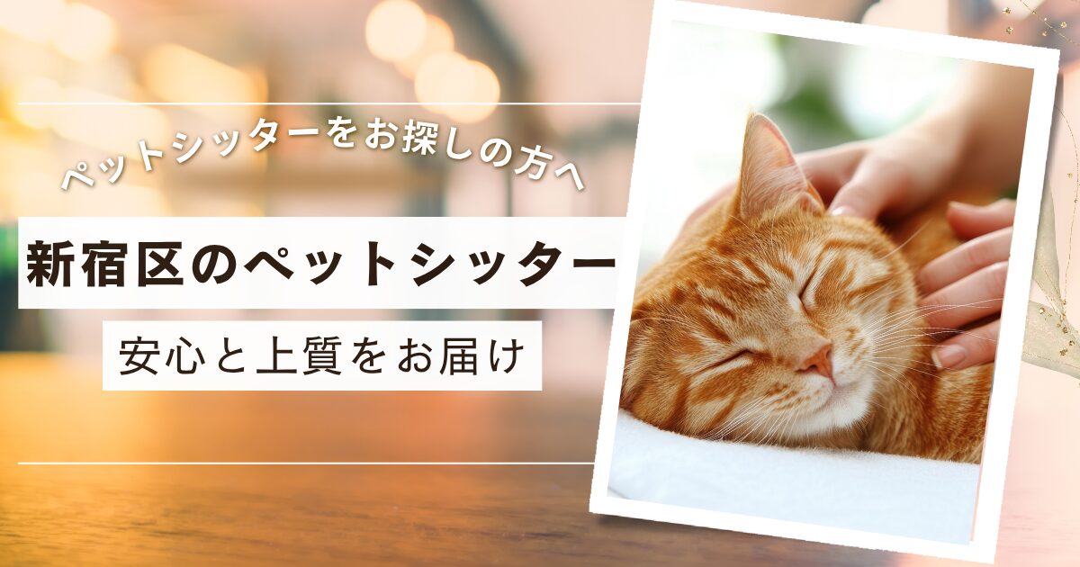新宿区　ペットシッター　三冠獲得